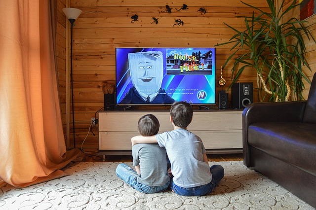 What your smart TV knows about you: the hidden world of living room data collection
