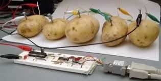 Potato-powered servers – myth, engineering stunt, or genuinely working systems?