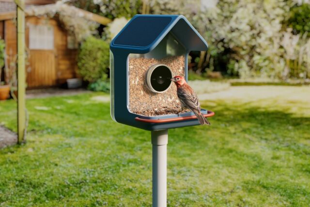 They snapped up smart bird feeders like tits go after sunflower seeds
