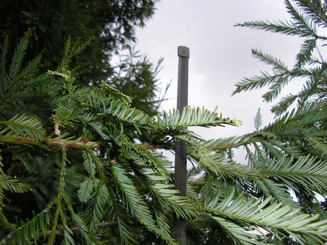 Hidden Antennas: Practical Solutions for Suburban and Restricted Environments